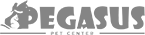 Clients_0000_Pegasus-Logo-2023-200x200-01